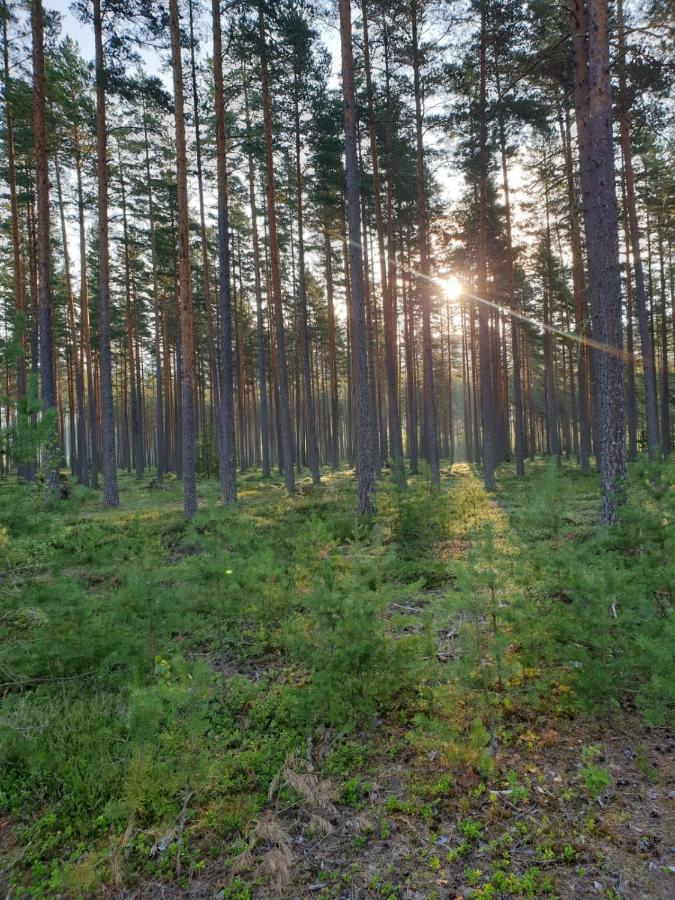 Stuga Ros Naturcamping Lagom Grasmark Luaran gambar